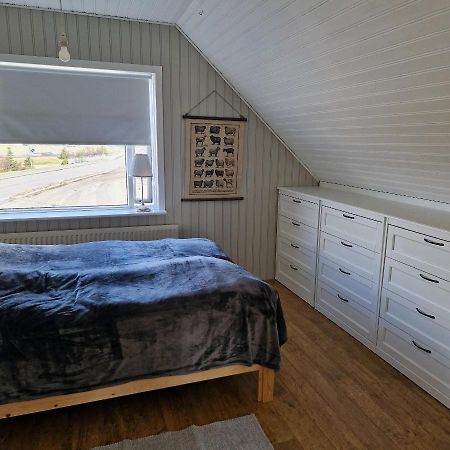 Cute House In A Cute Icelandic Village 哈马斯坦基酒店 外观 照片